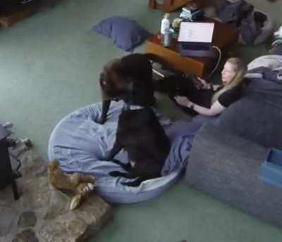 I had just convinced IT to upgrade my laptop :(