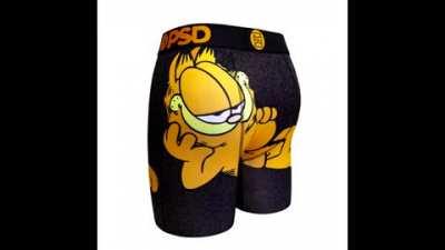 Garfield has enough of amogus memes