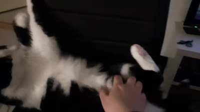 Sweet girl with a sweet belly