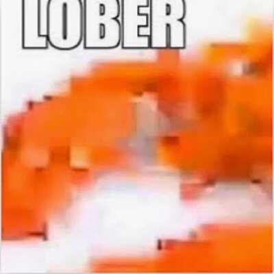 Lober