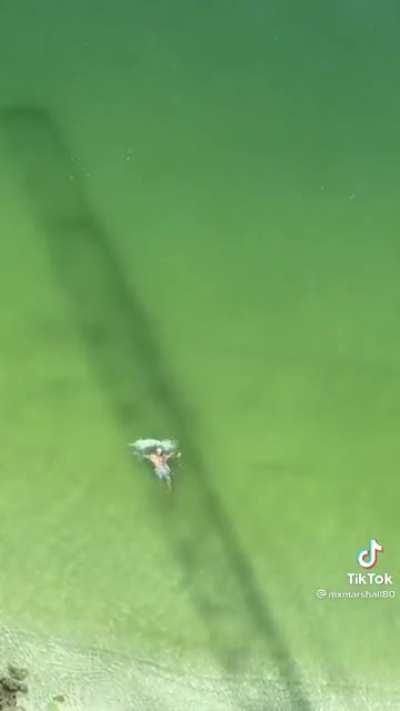 This one of you guys?