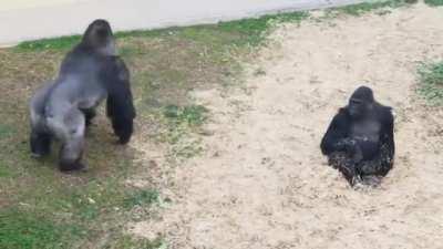 To impress the wife.