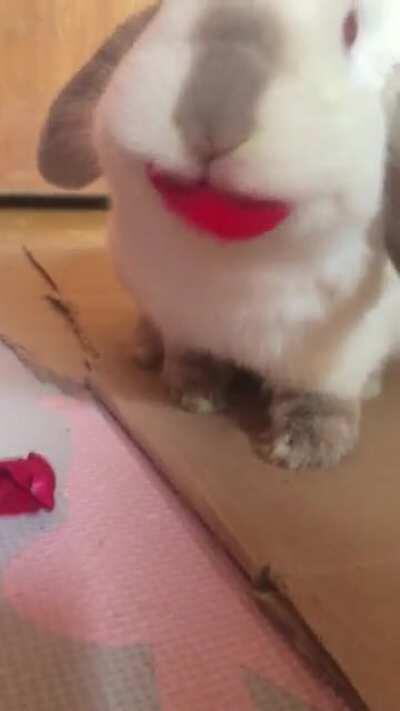 💖💖💖Happy love day 💖💖💖