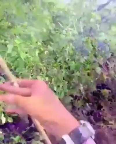 La realidad no siempre es como la conocemos