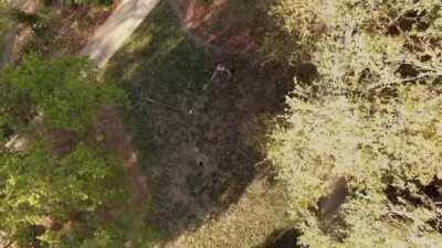 Lele Pons' movie is worse than you can imagine