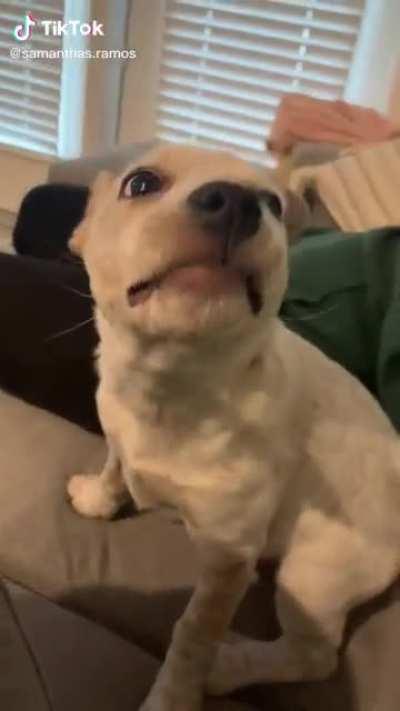 This video is on mute