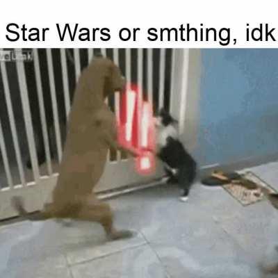 First gif meme