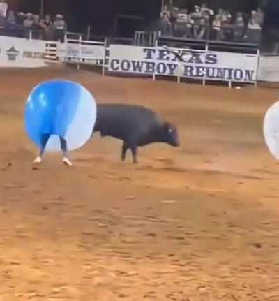 He is safe anyway🫨