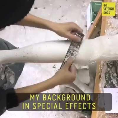 Alternative limb project