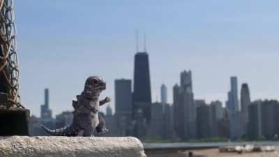 A 'little' Godzilla animation I made