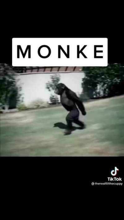 Monke