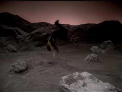 I made way too many Wasted gifs and can't submit an album. Part 1/50