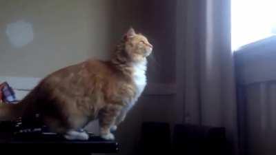 I can watch this over and over and I still lose my crap every single time.