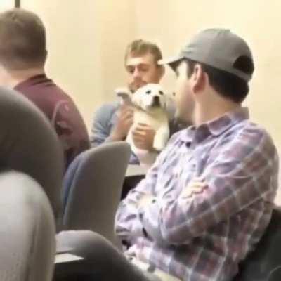 Best way to brighten up any meeting