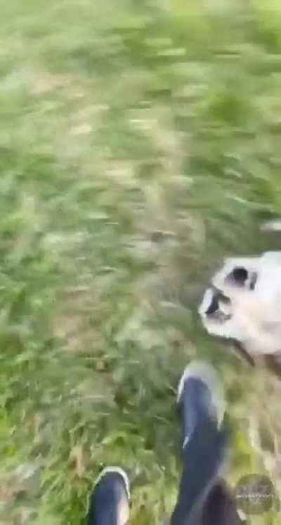 When you're all out of Estus Flasks, but are surrounded by enemies.