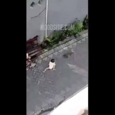 Bike riding monkey tries to steal toddler