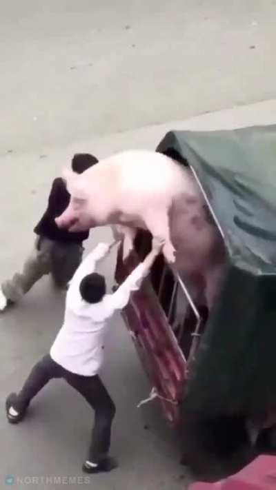 Ancient aldmer deporting the newly emerged orsimer to the mainland after Boethia took a fat shit