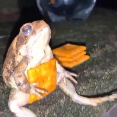 Yeah, due to the mad support I'm going to post animals memes on the weekdays now