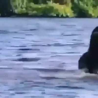 Nope! Fuck this— I'm out!