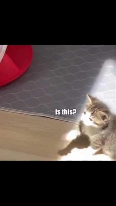 I watched this an embarrassing ammount of times