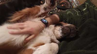 Leopold and his demands