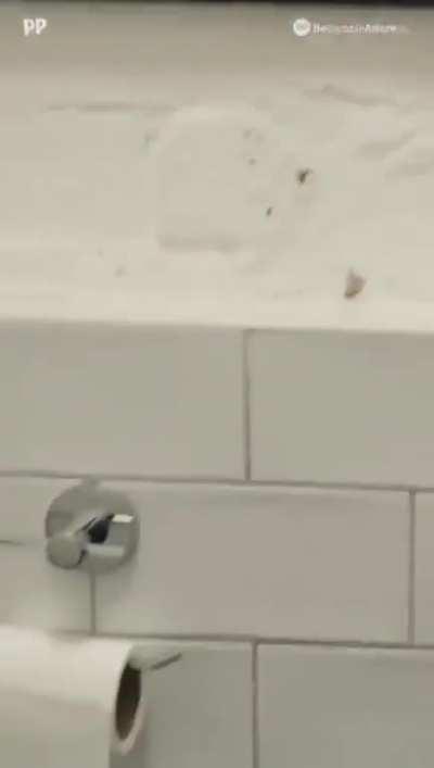 Is this what it feels to be a spurs fan?