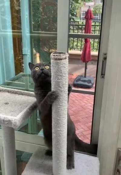 The first night on the pole can be daunting...