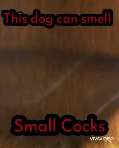 🤤🤤🤤penit buther