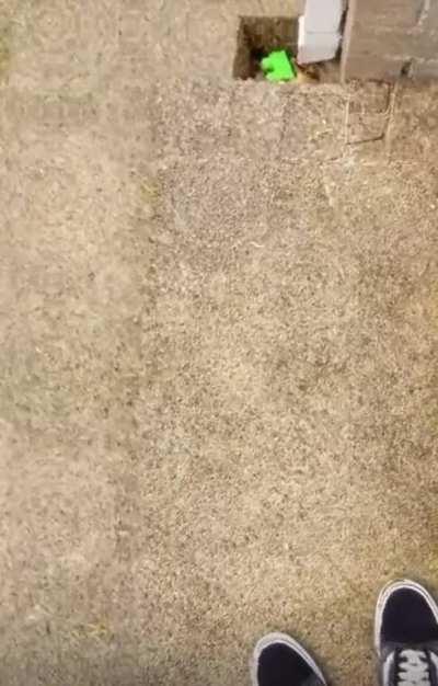 do y’all think it’s accurate or no?