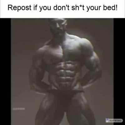 Repost if You Don't Sh*t Your Bed!