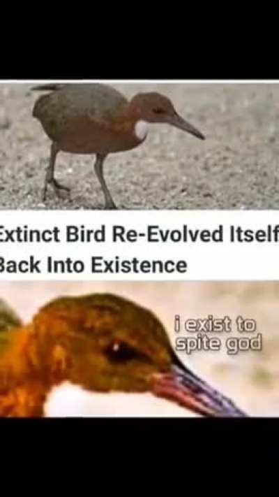 Back yet again, though to be long gone but is back to cause chaos.He is the one who angered god