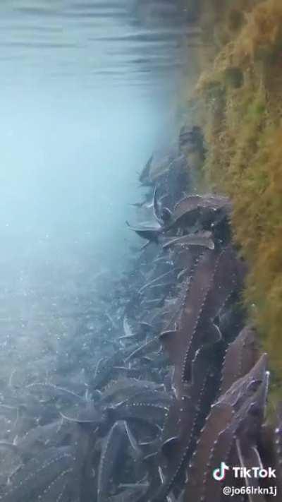 This fricking terrifies me