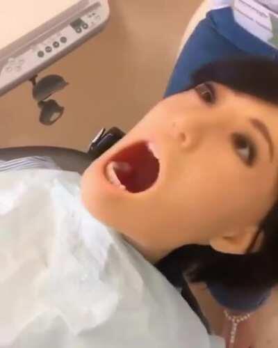 Guess I won’t be going to dental school