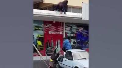 HMFT after catching ‘em all!