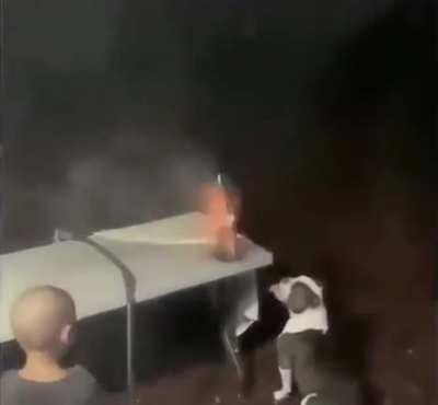 Poor pup tried to run vertically