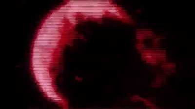 Donald trump is our last hope