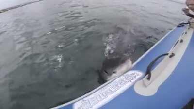 Time to move to the Sahara