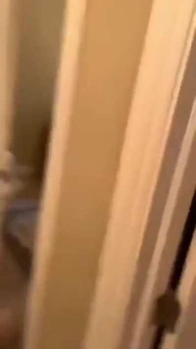 Gramma came prepared