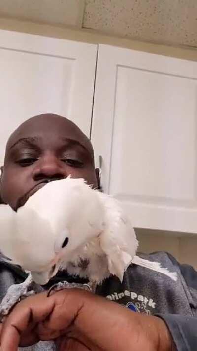 BeatboxingWithBirb