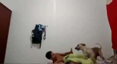 O dog ficou paradinho kkk
