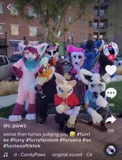 TFW you’re the only one in the group that can afford a full fursuit.