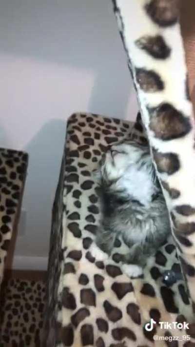 Playing is hard work