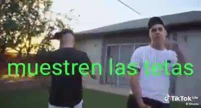 .......... Muestren la bubi