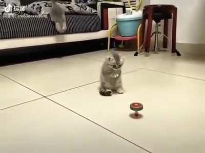 Ayo don't touch that