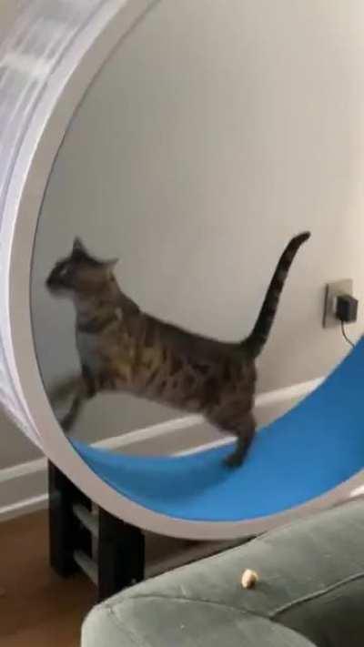 Когда заходит тренер, а ты филониль