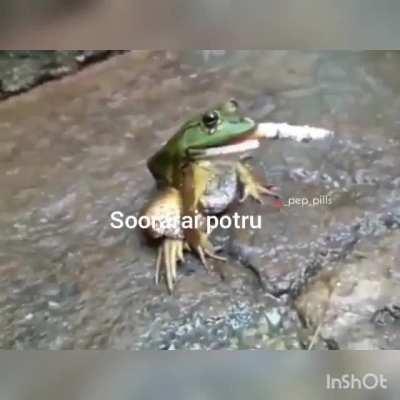 Engapnlda puthiya companya