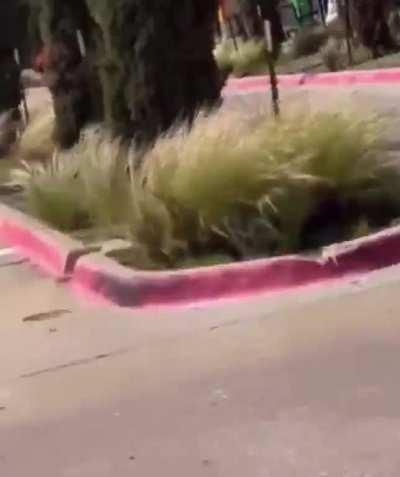 Gunshots can be heard following reports of an active shooting at Allen Premium Outlet Mall in Allen, Texas. Reports of multiple casualties.