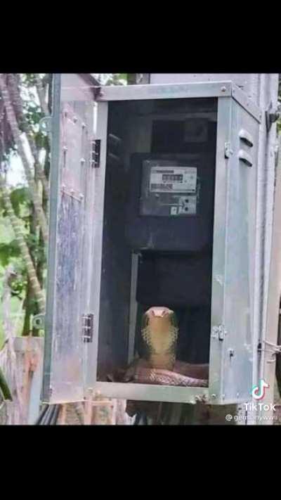 Cursed pictures pt 2. Pa ap⛵ ulet hihi