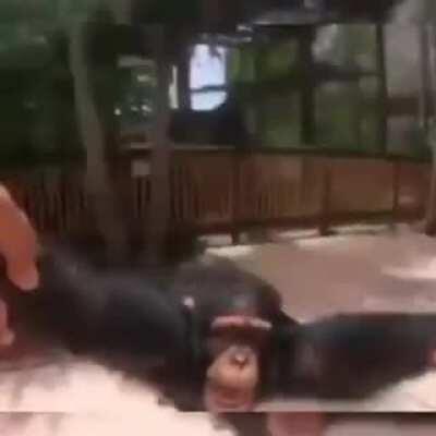 Trust me put ur fingers on the x