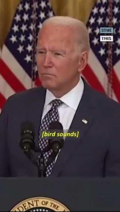 DARK BRANDON takes a full minute to stare at a bird (credit in comments)